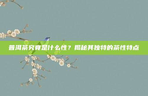 普洱茶究竟是什么性？揭秘其独特的茶性特点