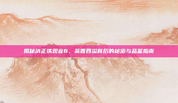 揭秘消正铁观音6，茶香四溢背后的秘密与品鉴指南