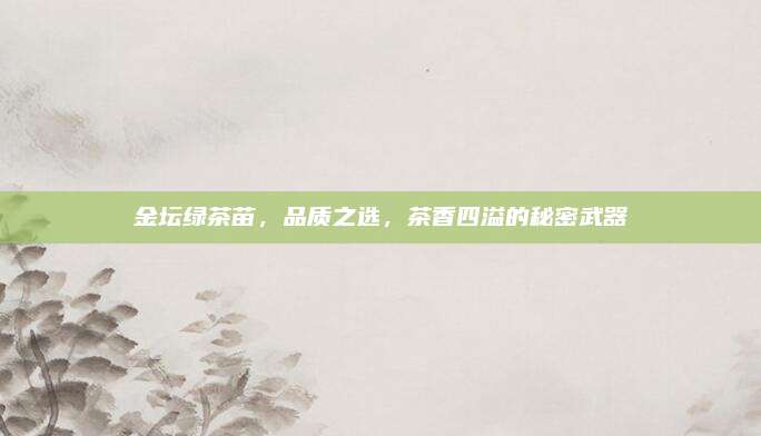 金坛绿茶苗，品质之选，茶香四溢的秘密武器