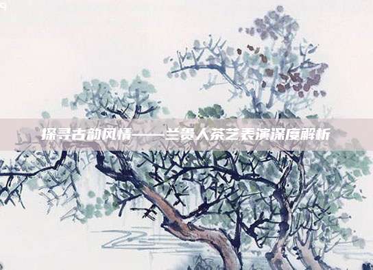 探寻古韵风情——兰贵人茶艺表演深度解析