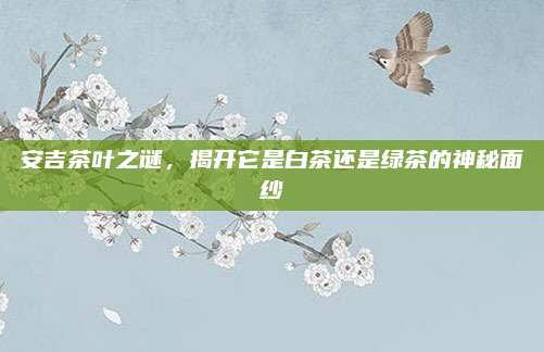 安吉茶叶之谜，揭开它是白茶还是绿茶的神秘面纱