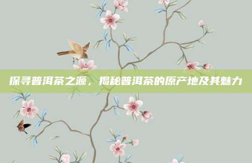 探寻普洱茶之源，揭秘普洱茶的原产地及其魅力