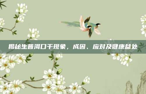 揭秘生普洱口干现象，成因、应对及健康益处