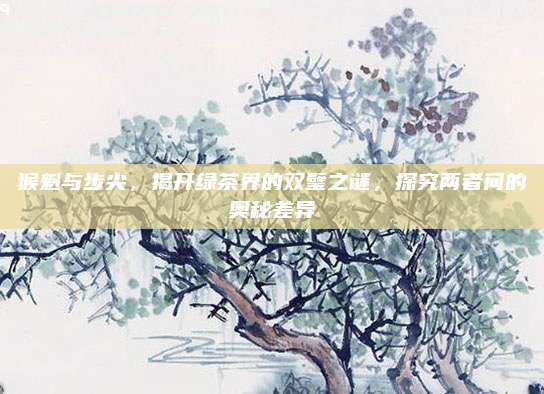 猴魁与步尖，揭开绿茶界的双璧之谜，探究两者间的奥秘差异