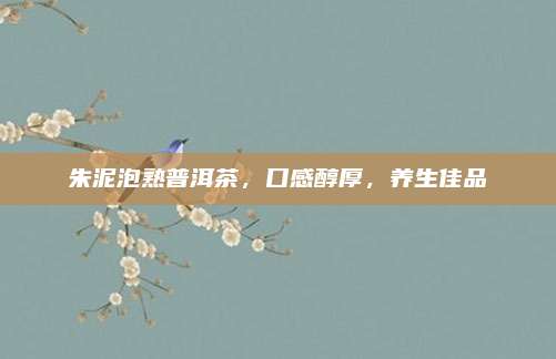朱泥泡熟普洱茶,口感醇厚,养生佳品