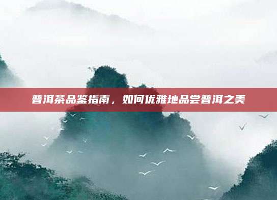 普洱茶品鉴指南，如何优雅地品尝普洱之美