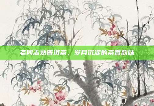 老同志熟普洱茶,岁月沉淀的茶香韵味