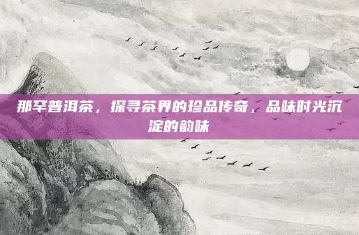 那罕普洱茶，探寻茶界的珍品传奇，品味时光沉淀的韵味