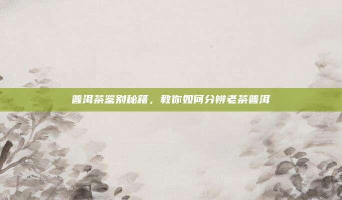 普洱茶鉴别秘籍，教你如何分辨老茶普洱