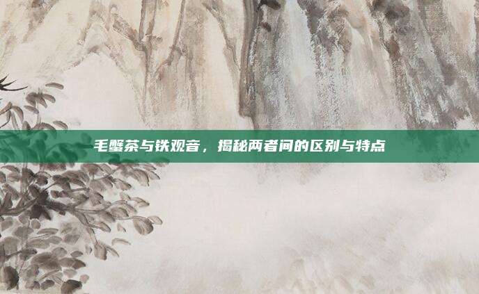 毛蟹茶与铁观音，揭秘两者间的区别与特点