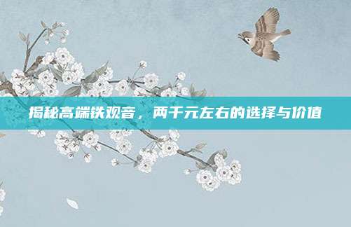 揭秘高端铁观音，两千元左右的选择与价值