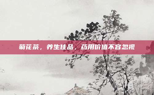 菊花茶,养生佳品,药用价值不容忽视