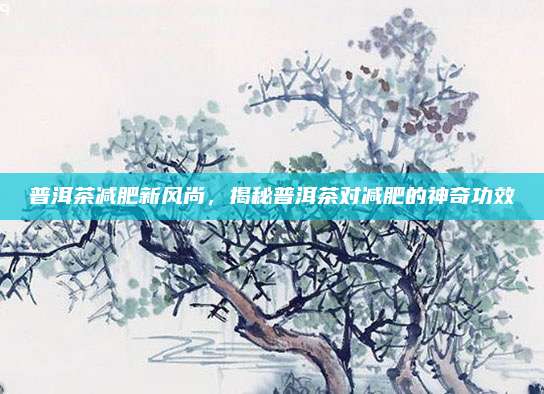 普洱茶减肥新风尚,揭秘普洱茶对减肥的神奇功效