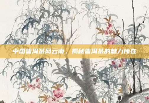 中国普洱茶网云南，揭秘普洱茶的魅力所在