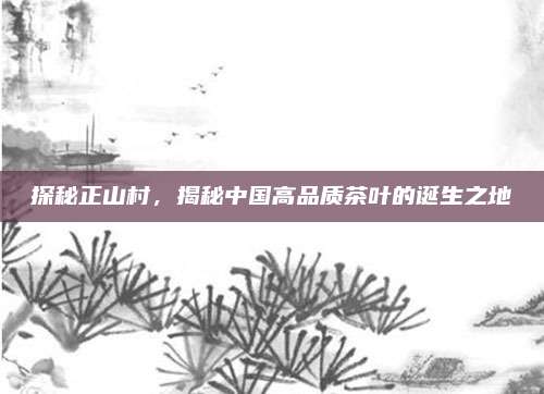 探秘正山村，揭秘中国高品质茶叶的诞生之地