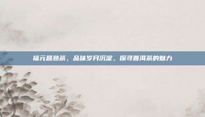 福元昌熟茶，品味岁月沉淀，探寻普洱茶的魅力