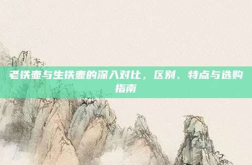 老铁壶与生铁壶的深入对比，区别、特点与选购指南