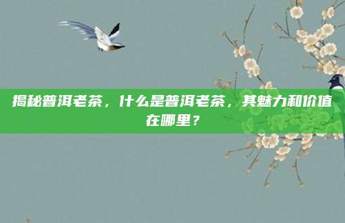 揭秘普洱老茶，什么是普洱老茶，其魅力和价值在哪里？
