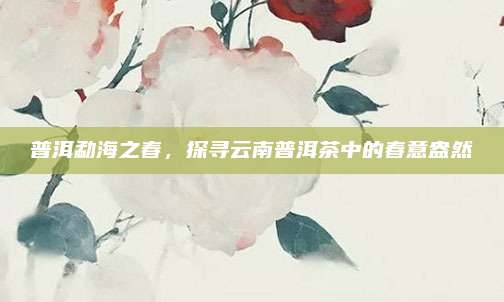 普洱勐海之春，探寻云南普洱茶中的春意盎然