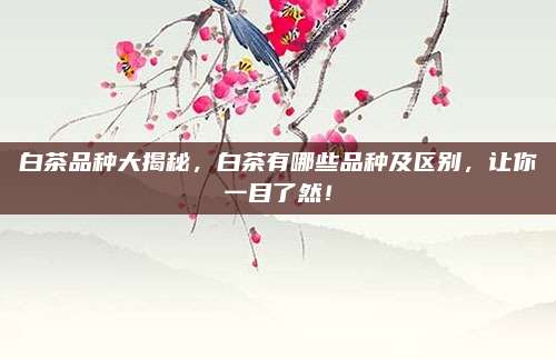 白茶品种大揭秘，白茶有哪些品种及区别，让你一目了然！