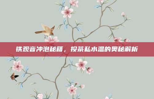 铁观音冲泡秘籍，投茶私水温的奥秘解析
