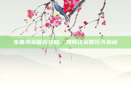 生普洱茶保存攻略,如何让茶香历久弥新