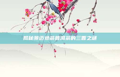 揭秘景迈熟茶普洱茶的三香之谜