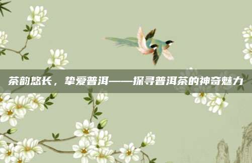 茶韵悠长，挚爱普洱——探寻普洱茶的神奇魅力
