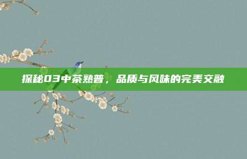 探秘03中茶熟普，品质与风味的完美交融