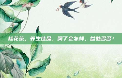 桂花茶，养生佳品，喝了会怎样，益处多多！