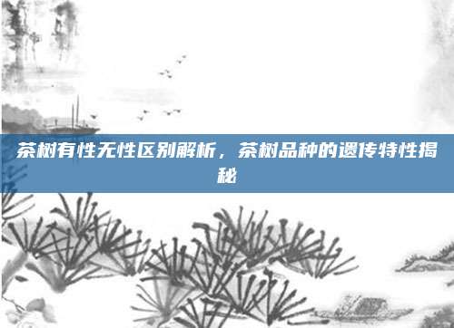 茶树有性无性区别解析,茶树品种的遗传特性揭秘