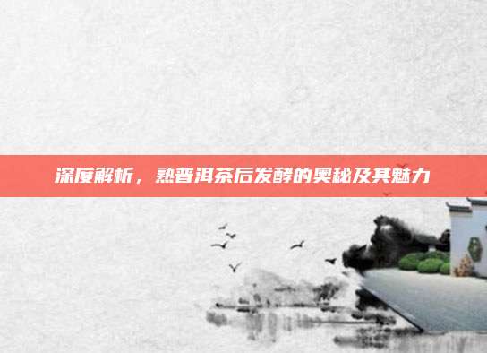 深度解析，熟普洱茶后发酵的奥秘及其魅力