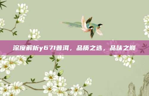 深度解析y671普洱，品质之选，品味之巅