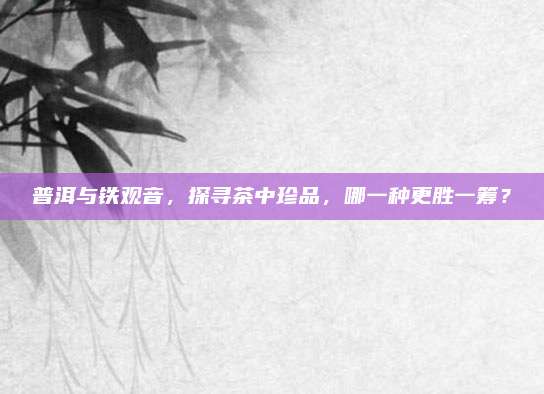 普洱与铁观音，探寻茶中珍品，哪一种更胜一筹？