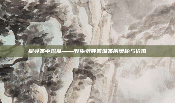 探寻茶中珍品——野生紫芽普洱茶的奥秘与价值