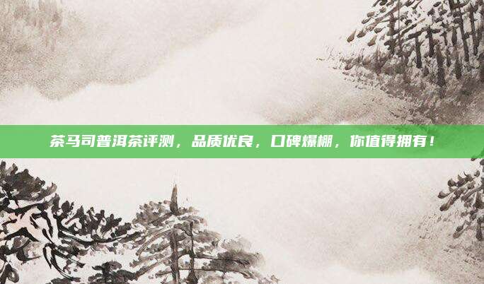 茶马司普洱茶评测,品质优良,口碑爆棚,你值得拥有!