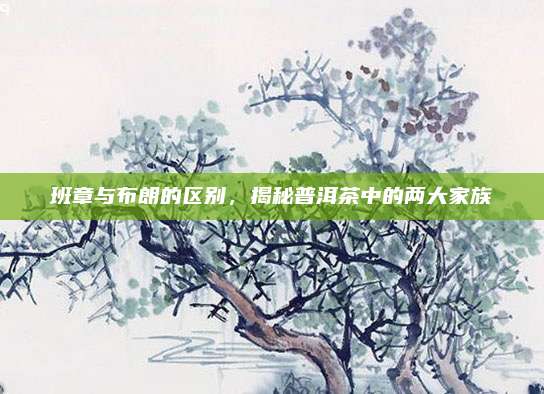 班章与布朗的区别,揭秘普洱茶中的两大家族