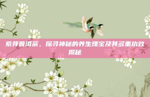 紫芽普洱茶，探寻神秘的养生瑰宝及其多重功效揭秘