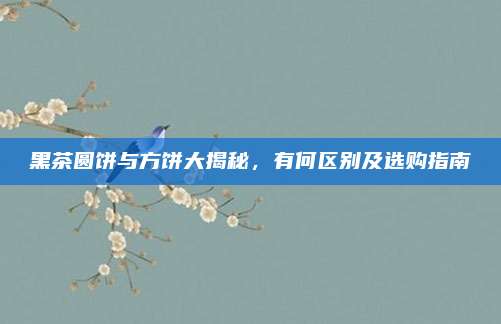 黑茶圆饼与方饼大揭秘，有何区别及选购指南
