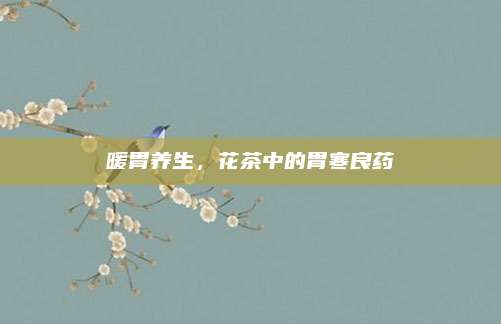 暖胃养生，花茶中的胃寒良药