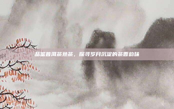 品鉴普洱茶熟茶，探寻岁月沉淀的茶香韵味
