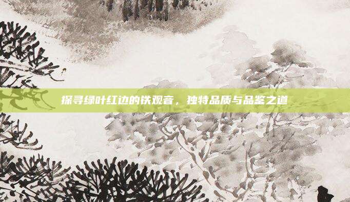 探寻绿叶红边的铁观音,独特品质与品鉴之道