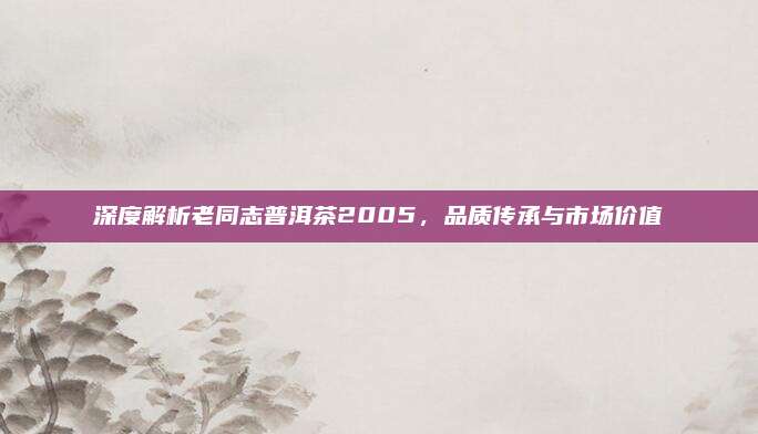 深度解析老同志普洱茶2005,品质传承与市场价值