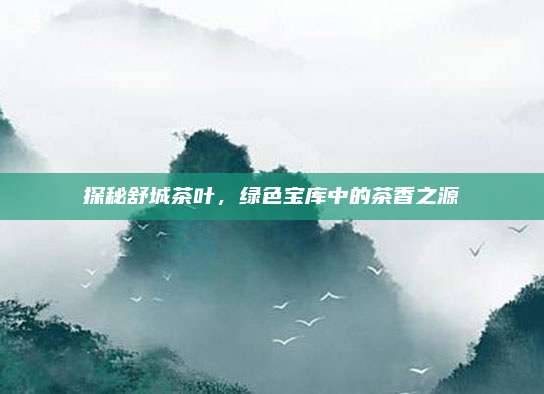 探秘舒城茶叶，绿色宝库中的茶香之源