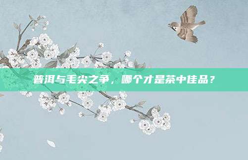 普洱与毛尖之争，哪个才是茶中佳品？