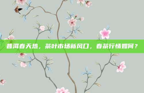 普洱春天热，茶叶市场新风口，春茶行情如何？