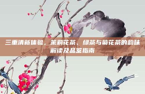 三重清新体验，茉莉花茶、绿茶与菊花茶的韵味解读及品鉴指南