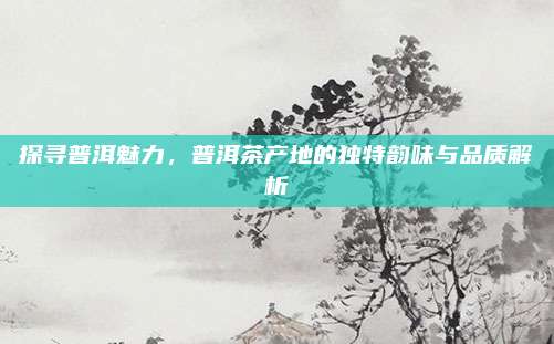 探寻普洱魅力,普洱茶产地的独特韵味与品质解析
