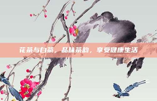 花茶与白茶,品味茶韵,享受健康生活
