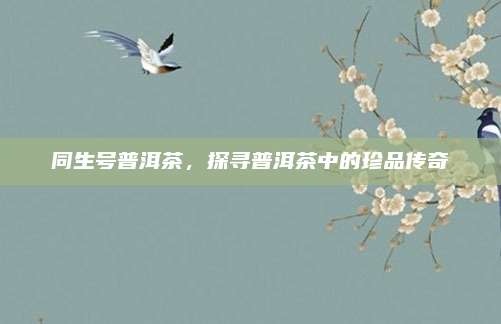 同生号普洱茶，探寻普洱茶中的珍品传奇